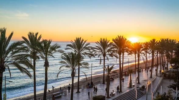 The palm promenade